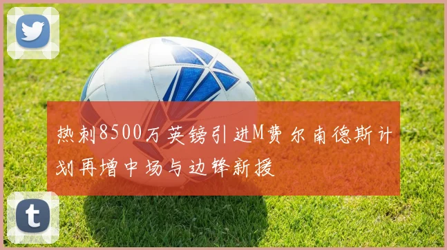 热刺8500万英镑引进M费尔南德斯计划再增中场与边锋新援