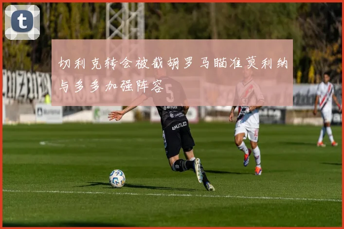 切利克转会被截胡罗马瞄准莫利纳与多多加强阵容